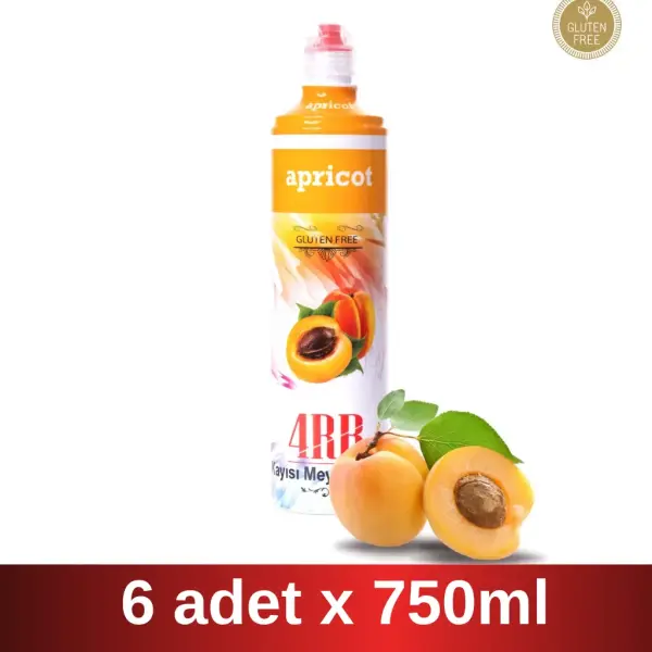 4RR | Kayısı Meyveli içecek Karışımı | 750 ml x 6 Adet Koli