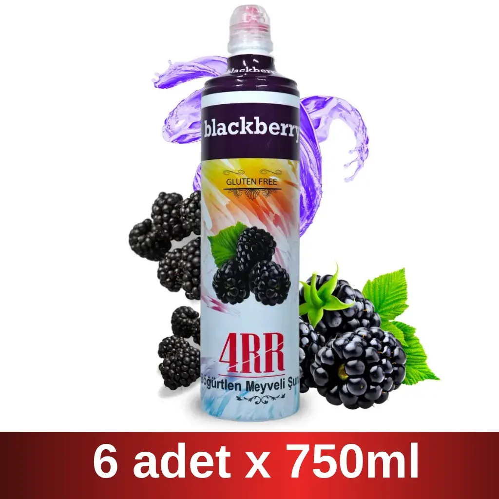 4RR | Böğürtlen Meyveli içecek Karışımı | 750 ml x 6 Adet Koli