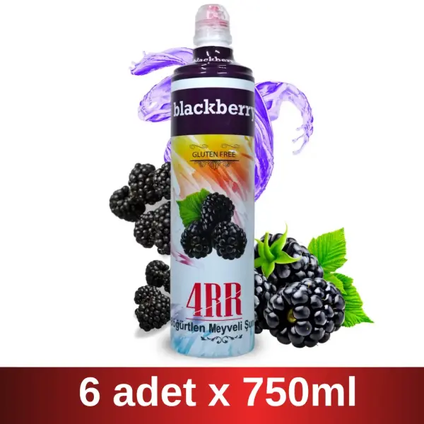 4RR | Böğürtlen Meyveli içecek Karışımı | 750 ml x 6 Adet Koli